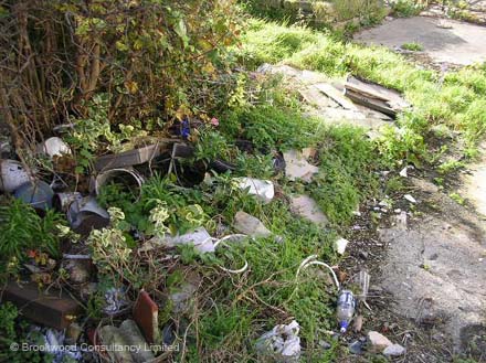Asbestos Cement Debris in Garden