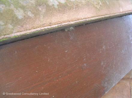 Asbestos Cement Verge Undecloaking