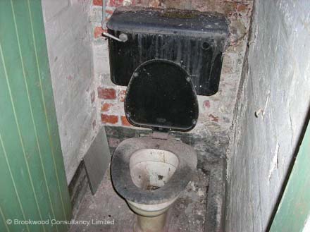 Asbestos Containing Plastic Toiletware